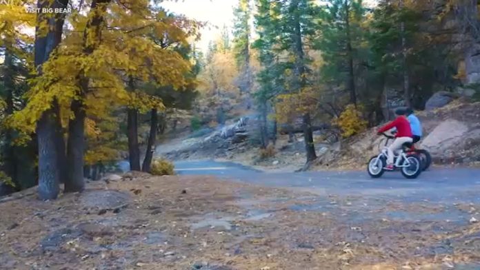 17999257_101325-kabc-btf-fall-foliage.jpg
