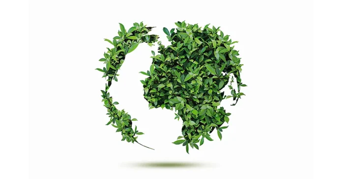 environment.webp.webp