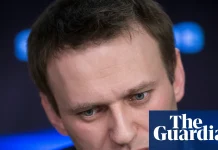 ‘All brakes are off’: Russia’s attempt to rein in illicit market for leaked data backfires | Russia