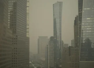 News 12 | Brooklyn | Power & Politics: Rep. Torres on implications of new EPA pollution rule