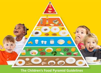 The Children’s Food Pyramid | Safefood