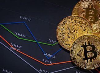 What happened in the cryptocurrency market over the last week?