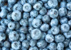 Frozen blueberries recalled over Listeria concern didn’t reach customers in Canada: CFIA