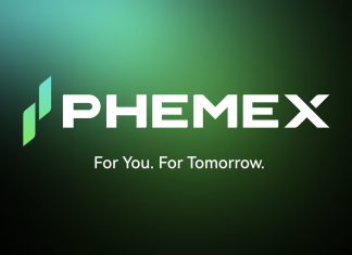 Yi He on Long-Term Cryptocurrency Success Factors