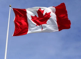 Canada on recession watch, economy on ‘life support’: Economist | National News