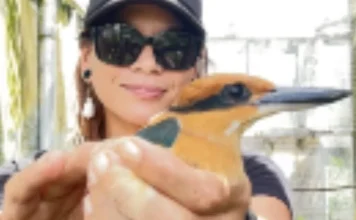 Start small, start now: Sous chef to the cute and famous | Lifestyle