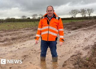 ‘Constant rain has made farming more difficult and expensive’ – BBC