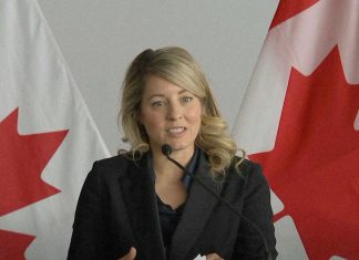 Canada Pushes for Chinese EV Joint Venture to Supply Global Markets, Minister Says