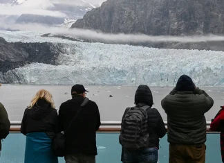 Fox News Lifestyle Newsletter: Feb. 10-17, 2026