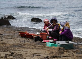 2025 APEC Economic Policy Report