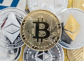 Experts Warn Crypto Must Fix Scams and Errors Before Scaling