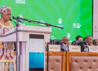 MC14 opens in Yaoundé with call to reinvigorate WTO in time of crisis