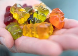 Junk food rewires kids’ brains