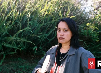 2026 Taite Music Prize finalists announced – RNZ