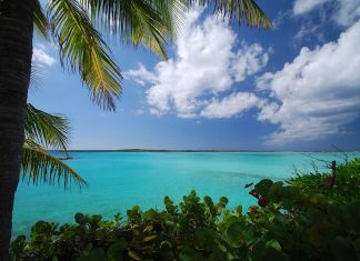 Caribbean islands launch digital arrival cards