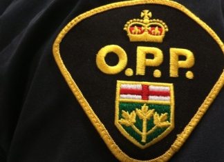 Leeds County resident loses $100K in cryptocurrency scam: OPP – The Brockvilleist