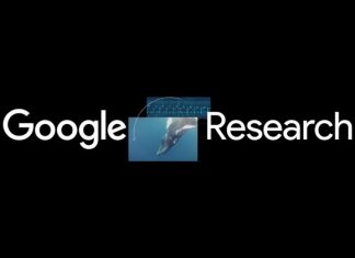 Safeguarding cryptocurrency by disclosing quantum vulnerabilities responsibly