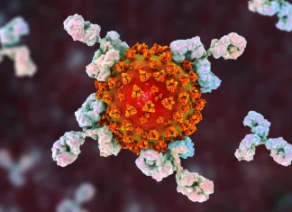 Attacks from our immune system are a cause of long covid