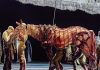 Cast of 35 Revealed for London Return of War Horse