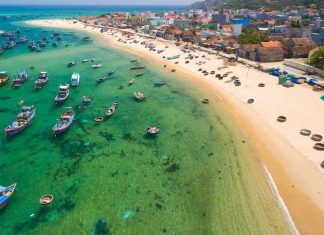 CDC Warns Travelers As Dengue ‘Breakbone Fever’ Spreads Globally