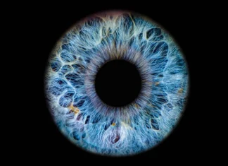 scan eyeballs to tie identity to AI agents • The Register