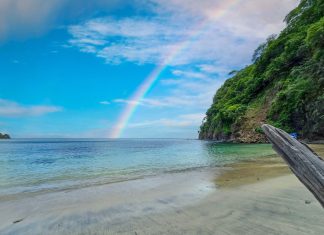 Spending time in nature reduces stress in the brain