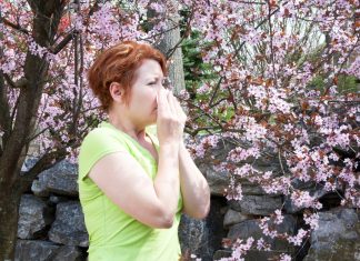 Seasonal allergies are getting worse—and climate change is partly to blame