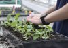 Lawmakers consider private sector, auto-enroll retirement plans to cover more Michiganders