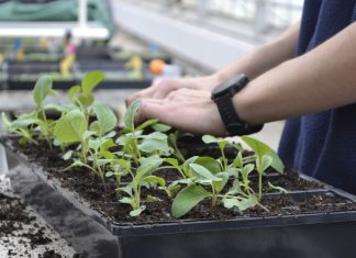 Lawmakers consider private sector, auto-enroll retirement plans to cover more Michiganders