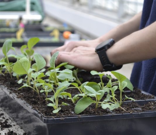 Lawmakers consider private sector, auto-enroll retirement plans to cover more Michiganders