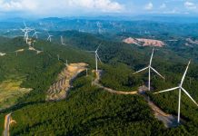 Renewables rising, Part 2: Seeking stability amid volatile fossil fuel markets