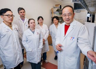 Competing memories in the brain drive relapse and recovery from alcohol addiction – Texas A&M Stories
