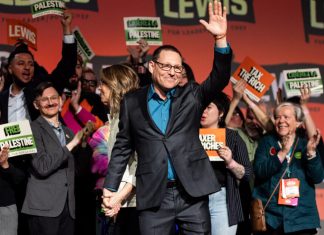 New NDP leader says he has a better plan for grocery stores