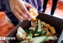 Lincolnshire food waste scheme collects 165 tonnes in first week – BBC