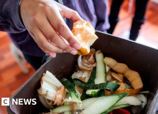 Lincolnshire food waste scheme collects 165 tonnes in first week – BBC