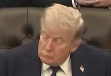 ‘Unwell’ Trump sparks concern by ‘babbling’ before falling asleep on TV | TV & Radio | Showbiz & TV