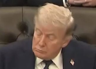 ‘Unwell’ Trump sparks concern by ‘babbling’ before falling asleep on TV | TV & Radio | Showbiz & TV