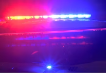 Cairo police arrest suspect in entering auto cases after early morning chase