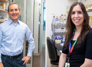 GLP-1 medicine improves liver health independent of weight loss