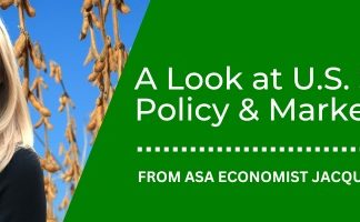 Fewer Acres, Firmer Prices: Soybeans Gain Ground in USDA Report