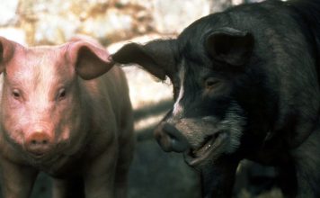 Animal Farm movies have a long history of missing the point