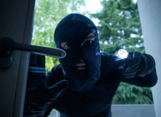 French cops free mother and son after crypto kidnapping • The Register