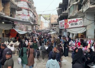 Economic collapse pushes highly educated Gazans into the ‘survival economy’