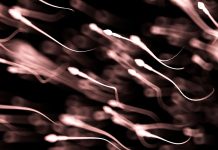 Sperm quality may change with the seasons, study finds
