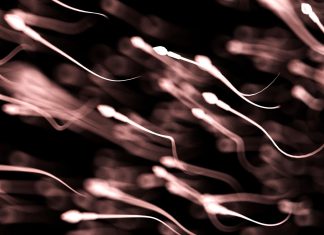 Sperm quality may change with the seasons, study finds