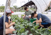 Penn researchers are turning food waste into building materials
