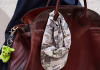 Coach Empire 48 Carryall Review 2026: The Chic Travel Bag That Fits Everything