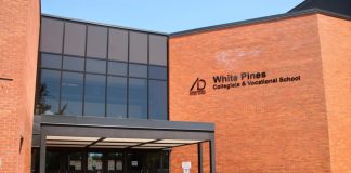 Celebrate diversity during White Pines Culture Fair