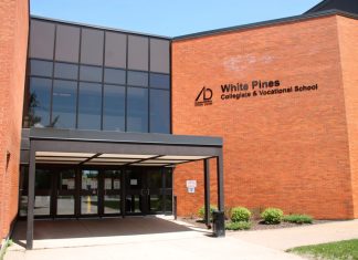 Celebrate diversity during White Pines Culture Fair