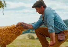 Movie review: ‘Sheep Detectives’ weaves a charming yarn